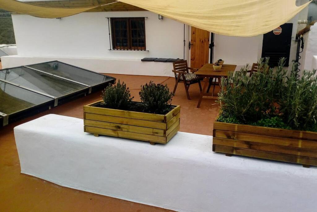 Casita Bioclimatica En El Campo Διαμέρισμα Arucas Εξωτερικό φωτογραφία